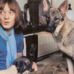 Steve-Marriott-4 (1) (1)